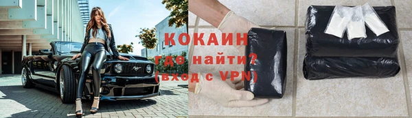 гашик Ладушкин