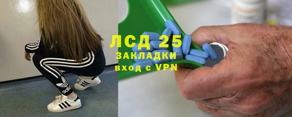 мяу мяу мука Лабытнанги
