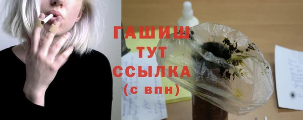 гашик Ладушкин