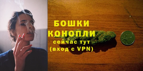 гашик Ладушкин