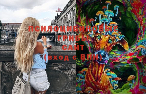 гашик Ладушкин