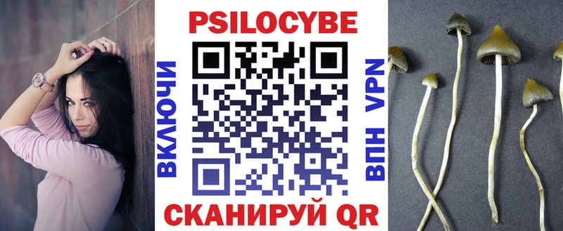 Купить где  Сельцо  Галлюциногенные грибы мицелий 